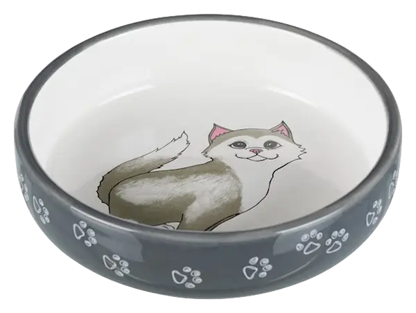 Keramikskål för kortnosiga katter