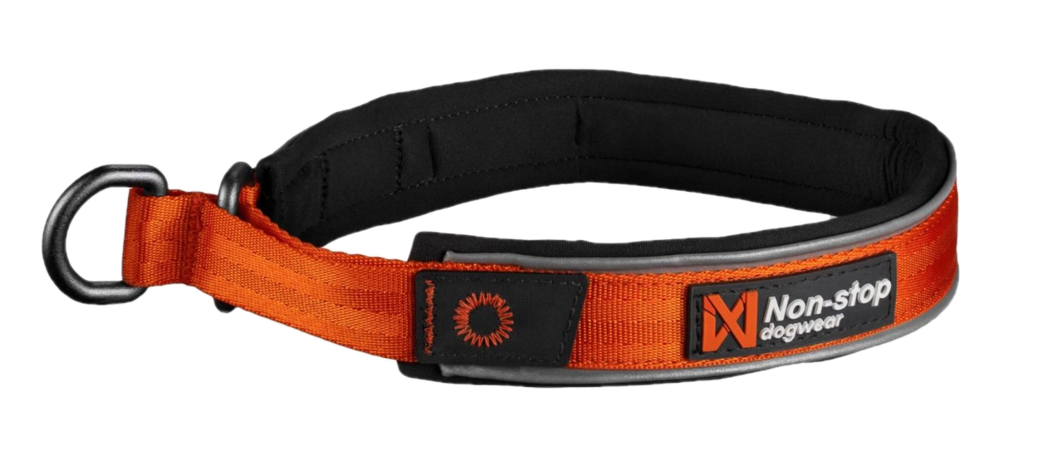 Cruise Collar Orange XXL 60cm