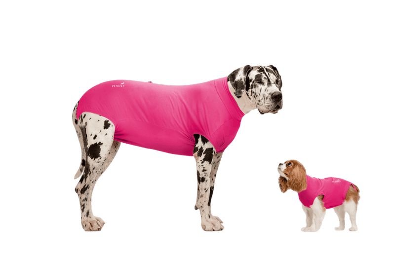 Recovery Suit Pink Tik/Katt Nr 4 - Hund - Hundvård & Tillskott - Skyddskragar & Hundkragar - VetHelp - ZOO.se