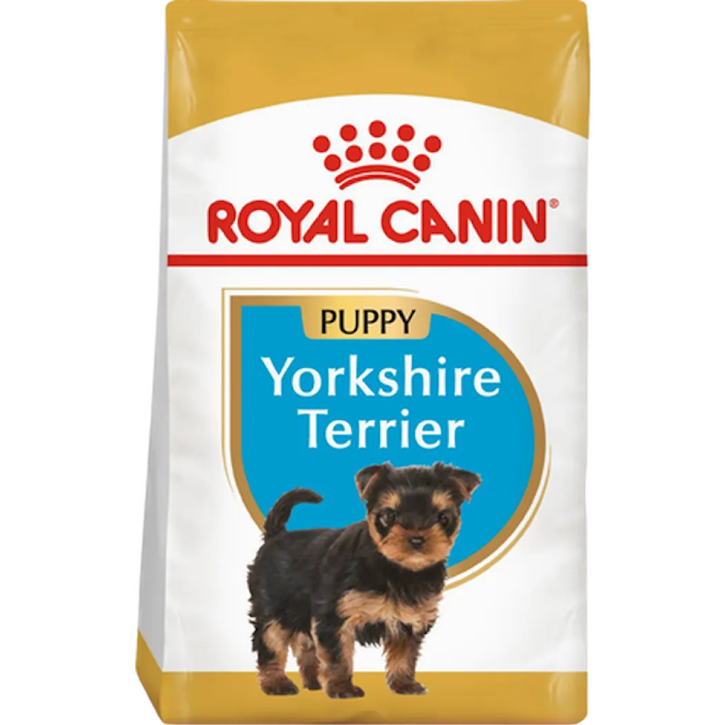Breed Yorkshire Terrier Junior 1,5 kg