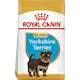 Breed Yorkshire Terrier Junior 1,5 kg