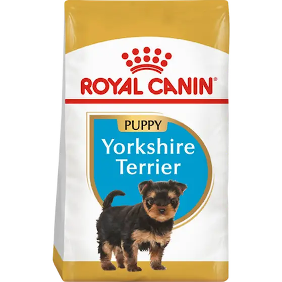 Breed Yorkshire Terrier Junior Yellow 1,5 kg