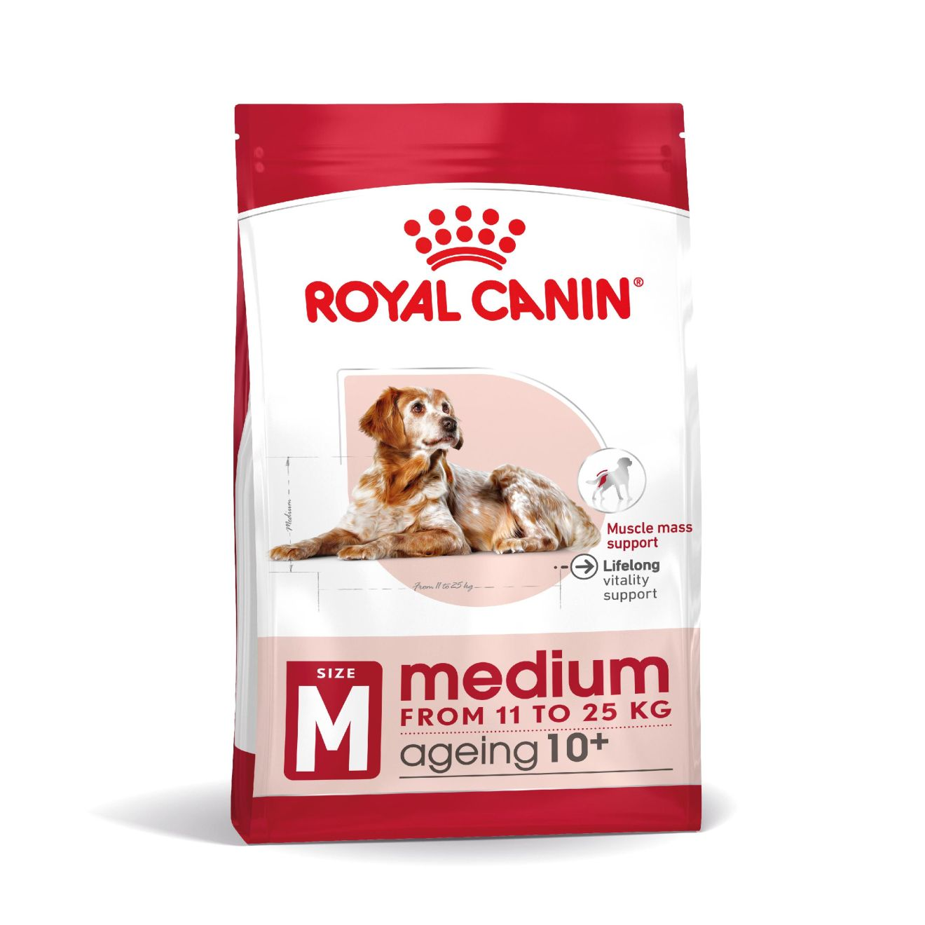 Medium Ageing 10+ Ageing Torrfoder för hund 15 kg