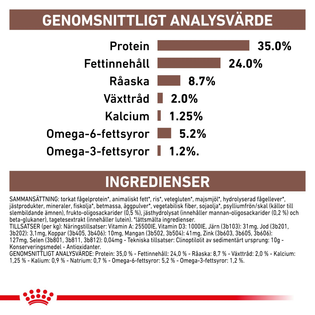 Gastrointestinal Kitten