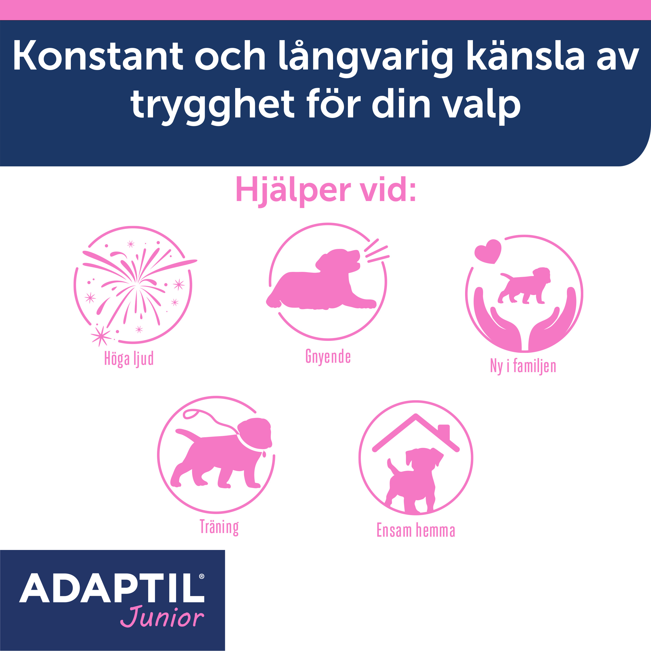 Adaptil Junior halsband_3_3411112940417.jpg