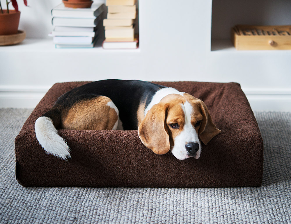 4332, 4333, 4334, 4335, 4336 (5).jpg