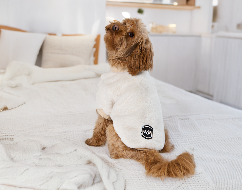 20545, 20546, 20547, 20548, 20549 (4).png