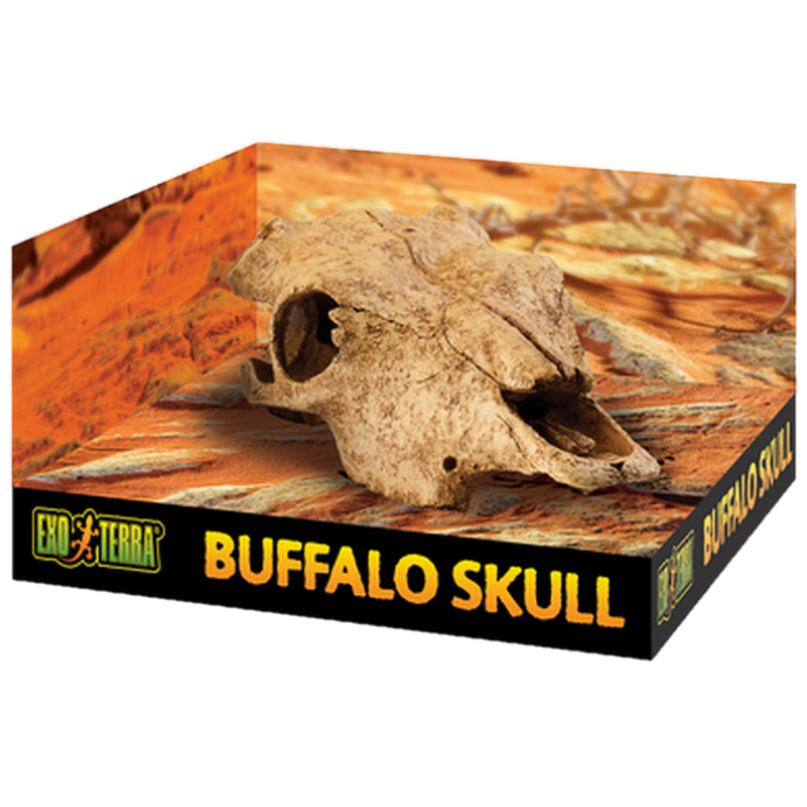 Exoterra - Buffalo Skull - Secure Hiding Place Beige 23 cm - Reptil - Terrarieinredning - ZOO.se