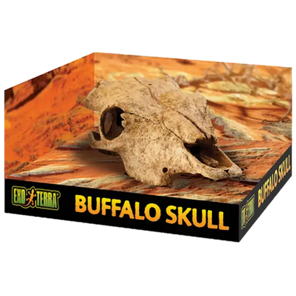 Buffalo Skull - Secure Hiding Place Beige 23 cm