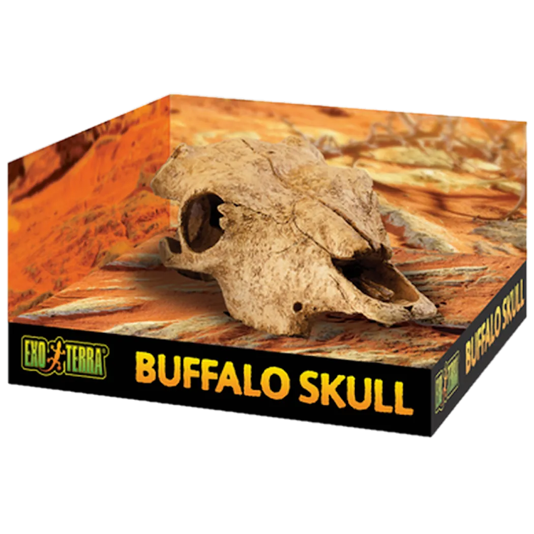 Exoterra Buffalo Skull - Secure Hiding Place Beige 23 cm