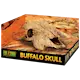 Buffalo Skull - Secure Hiding Place Beige 23 cm