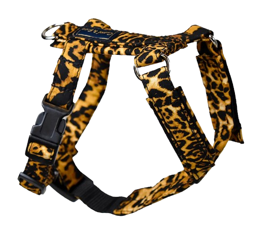 Kattesele Strap Leopard No. 1 - Katt - Halsbånd, kobbel og sele - Katteseler, bil- og sikkerhetsseler - Gustaf och Evita