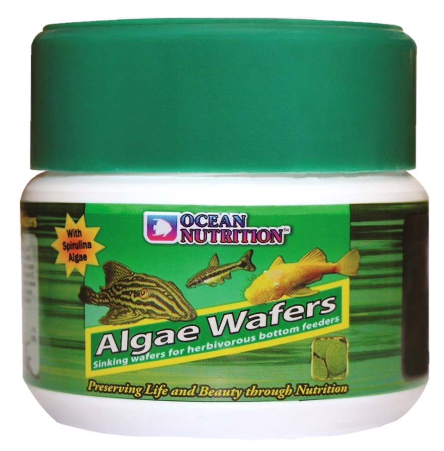 Ocean Nutrition - Algae Wafers 75g - Akvaristik - Fiskfoder & Fiskmat - Granulatfoder för fisk - ZOO.se