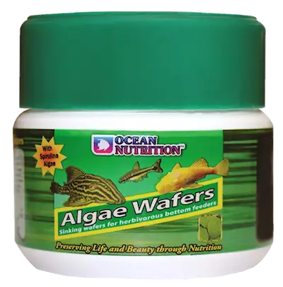 On Algae Wafers