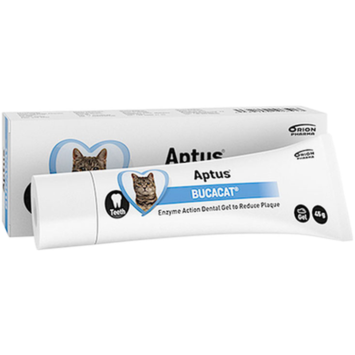 Aptus - Bucacat Tandpasta 45 g - Katt - Kattvård & Tillskott - Tandvård för katt - ZOO.se