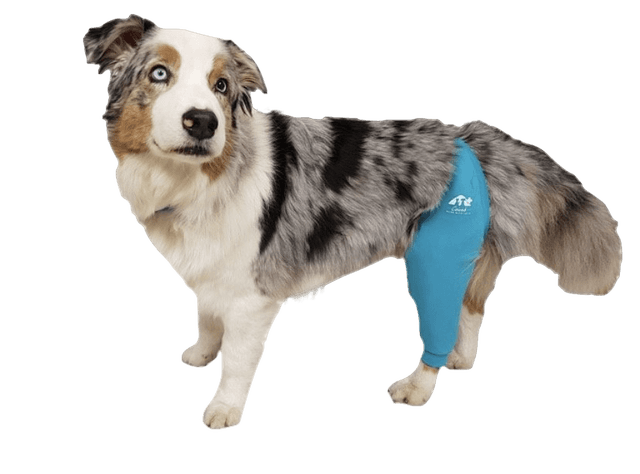 VetHelp - Leg Cover Rear Left Blue Nr 3 - Hund - Hundvård & Tillskott - Skyddskragar & Hundkragar - ZOO.se