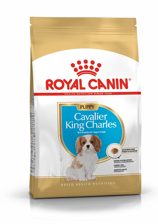 Cavalier King Charles Puppy Torrfoder för hund