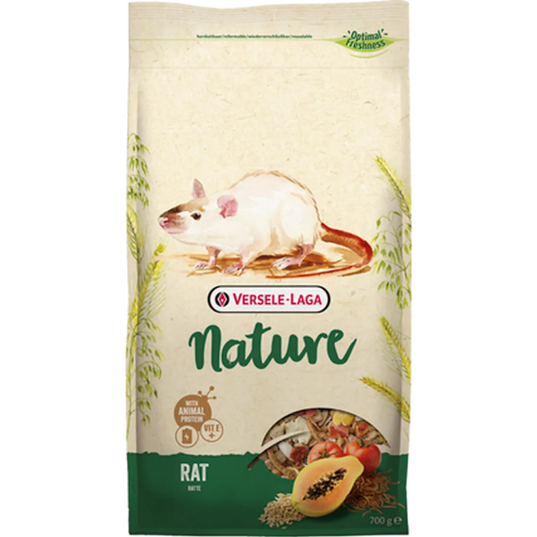 Nature Rat  (Råtta)