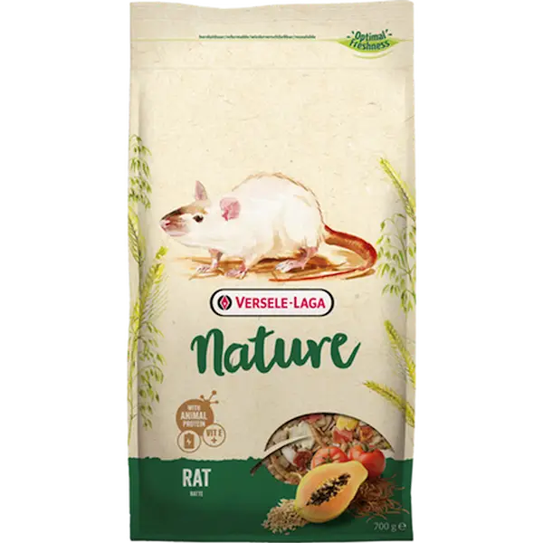 Nature Rat  (Råtta)