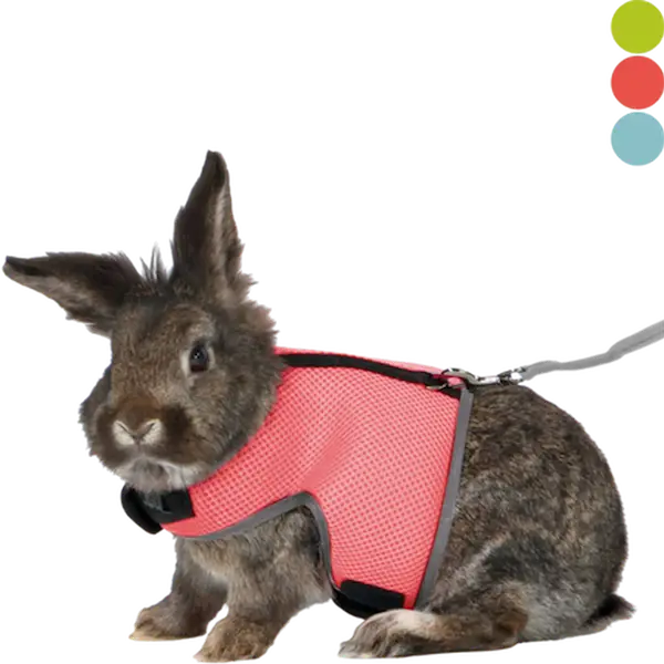 Soft Soft Harness with Leash Rabbit Mix 25-40 cm
