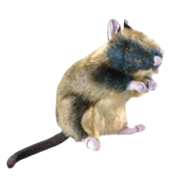 Dog Toy Wildlife Rat Polyester 34 cm