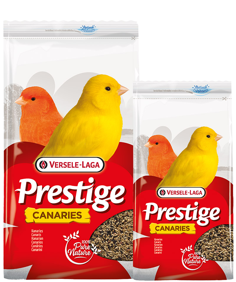 verselelaga_prestige_canaries_seeds_mix_birds_food