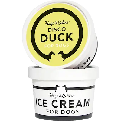 Ice Cream Disco Duck