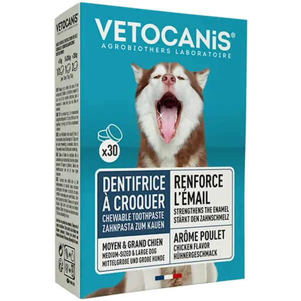 Dog Toothpaste Chewable