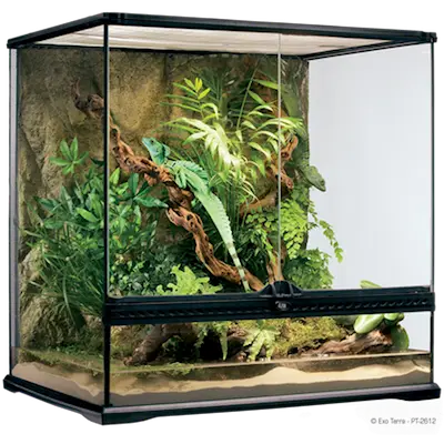 Glass Terrarium Natural Medium/Tall - Advanced Reptile Habitat