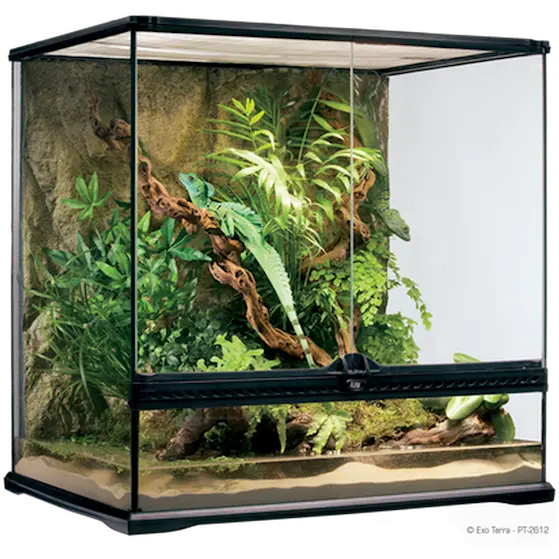 Glass Terrarium Natural Medium/Tall - Advanced Reptile Habitat Transparent 60 x 45 x 60 cm