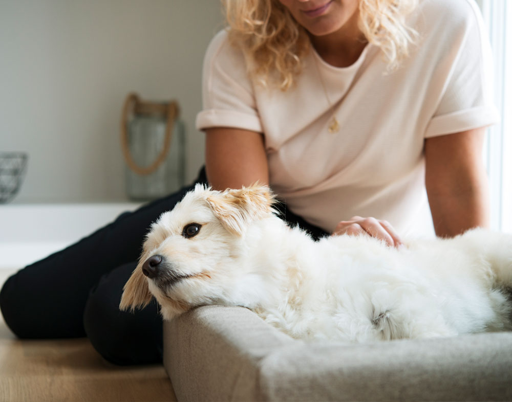 4290, 4291, 4292, 4310, 4311, 4312.jpg