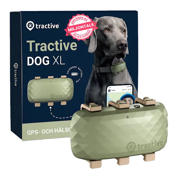 GPS DOG XL Grön