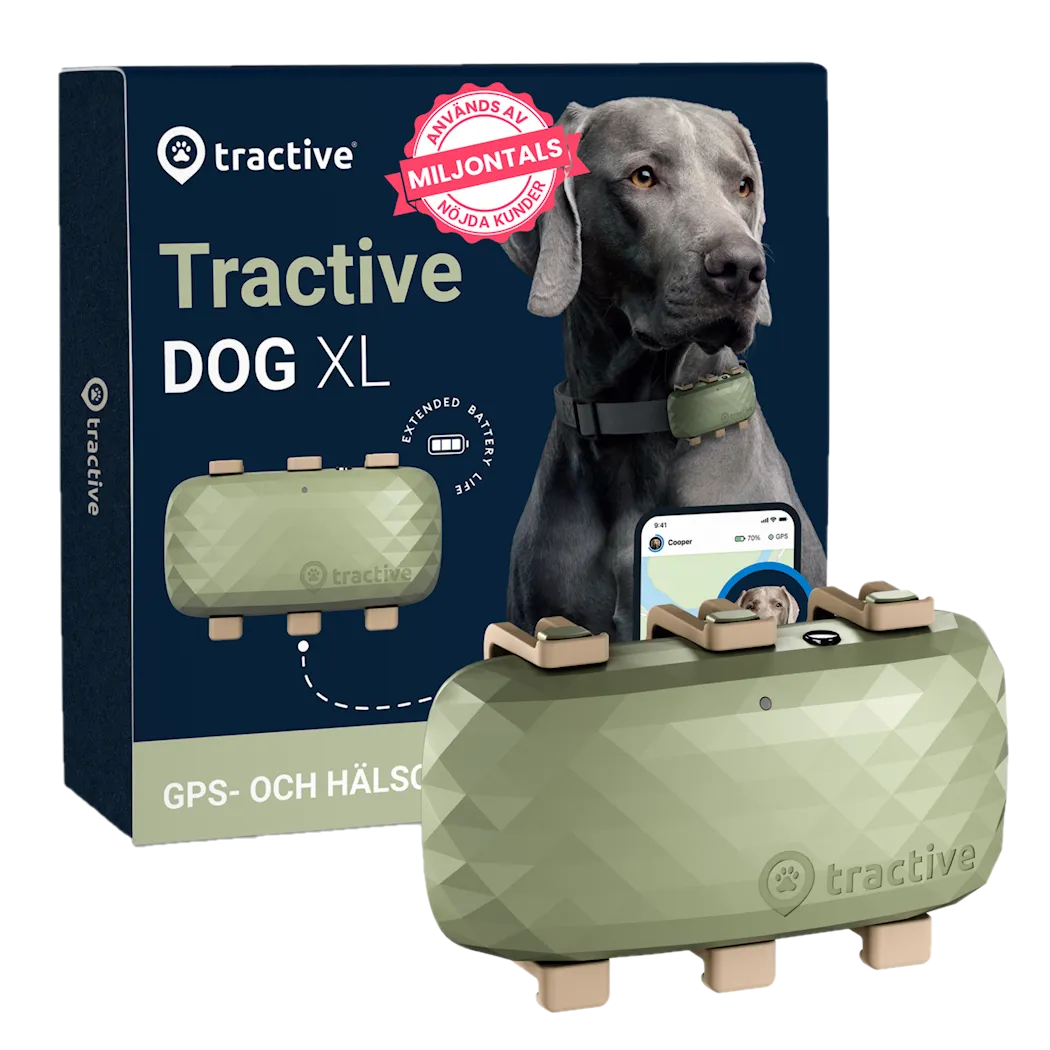 Tractive GPS DOG XL Grønn