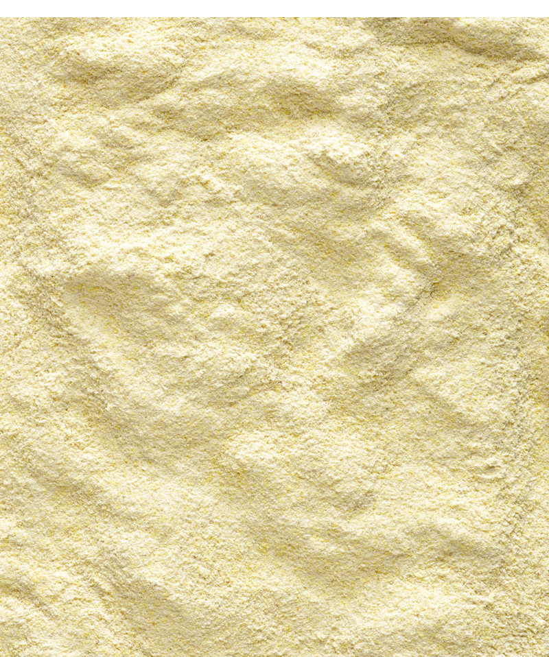 verselelaga_nutribird_lori_lorikeet_liquid_nectar_