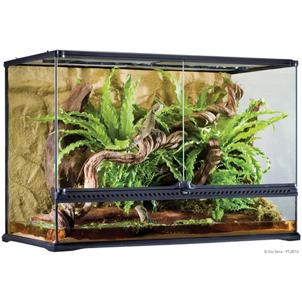 Exoterra Glass Terrarium Natural Large/Tall - Advanced Reptile Habitat