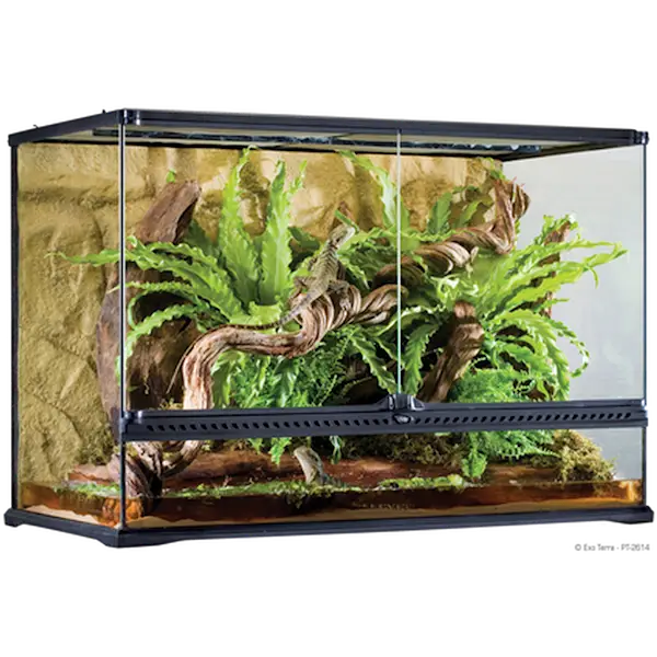 Glass Terrarium Natural Large/Tall - Advanced Reptile Habitat