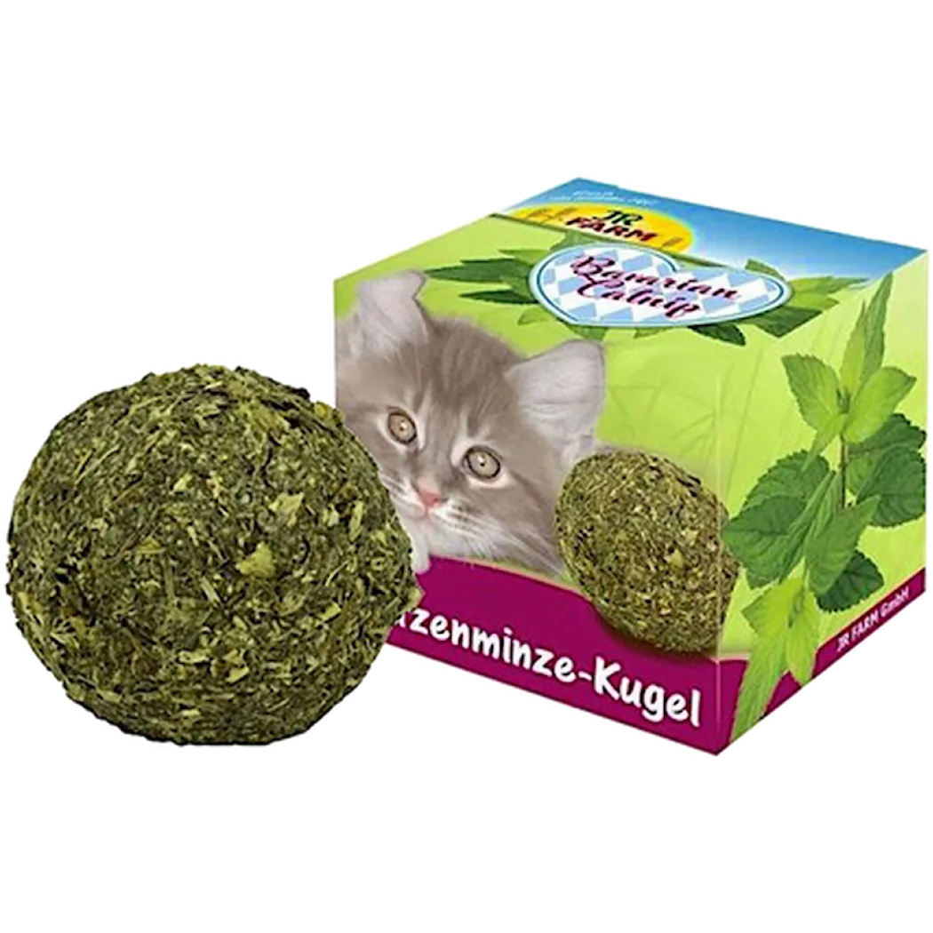 JR FARM Bavarian Catnip Ball Green 35 g