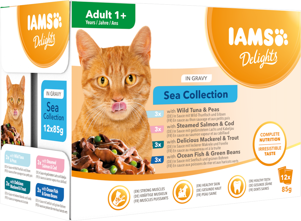 Cat Delights Gravy Multipack Sea 12x85g
