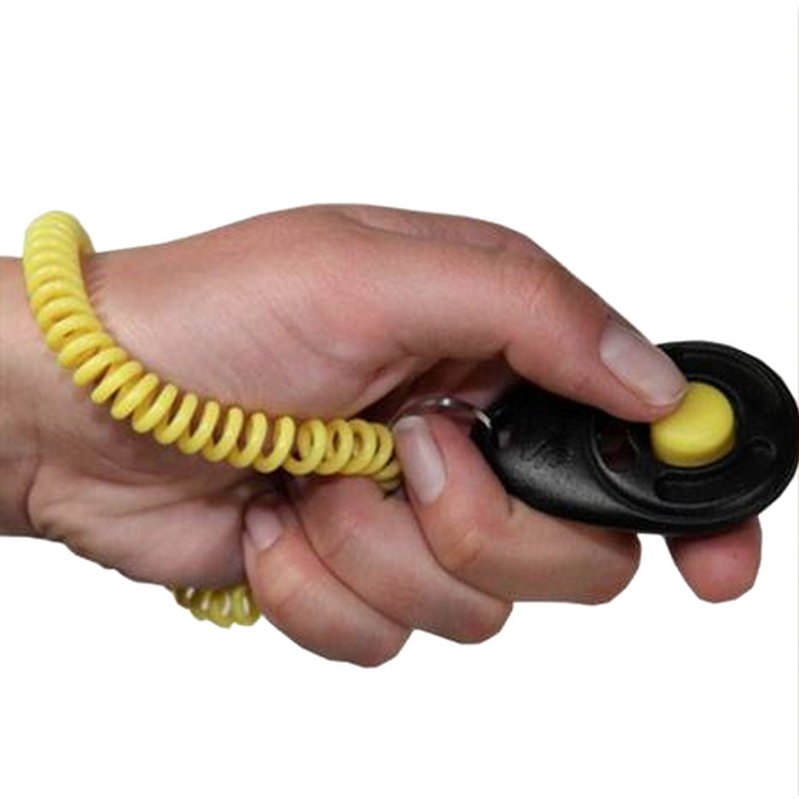 StarMark - Pro-Training Clicker with Wristband Black 6 cm - Hund - Hundträning & Bruksspår - ZOO.se