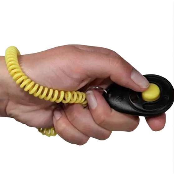 Pro-Training Clicker with Wristband Black 6 cm