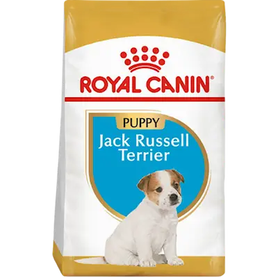Breed Jack Russel Puppy 1,5 kg