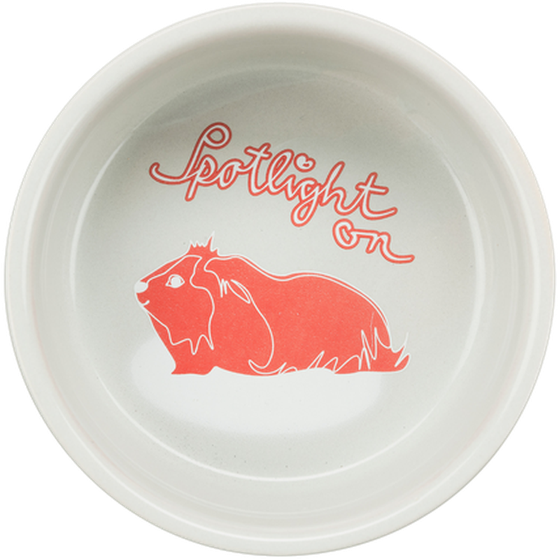 Trixie Ceramic Bowl Guinea Pigs Mix 250 ml