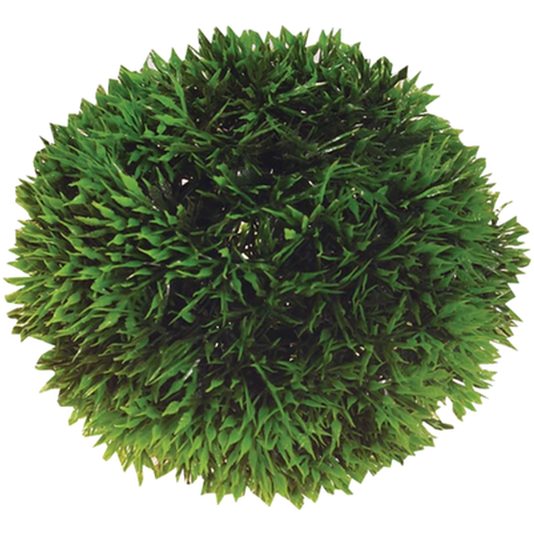 Hobby - Plastväxt Plant Ball 9cm - Akvaristik - Akvarieinredning - ZOO.se