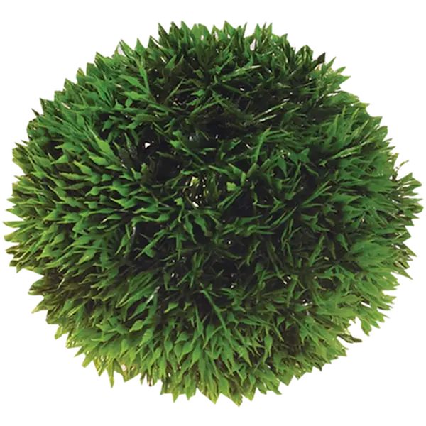 Plant Ball Green 9 cm