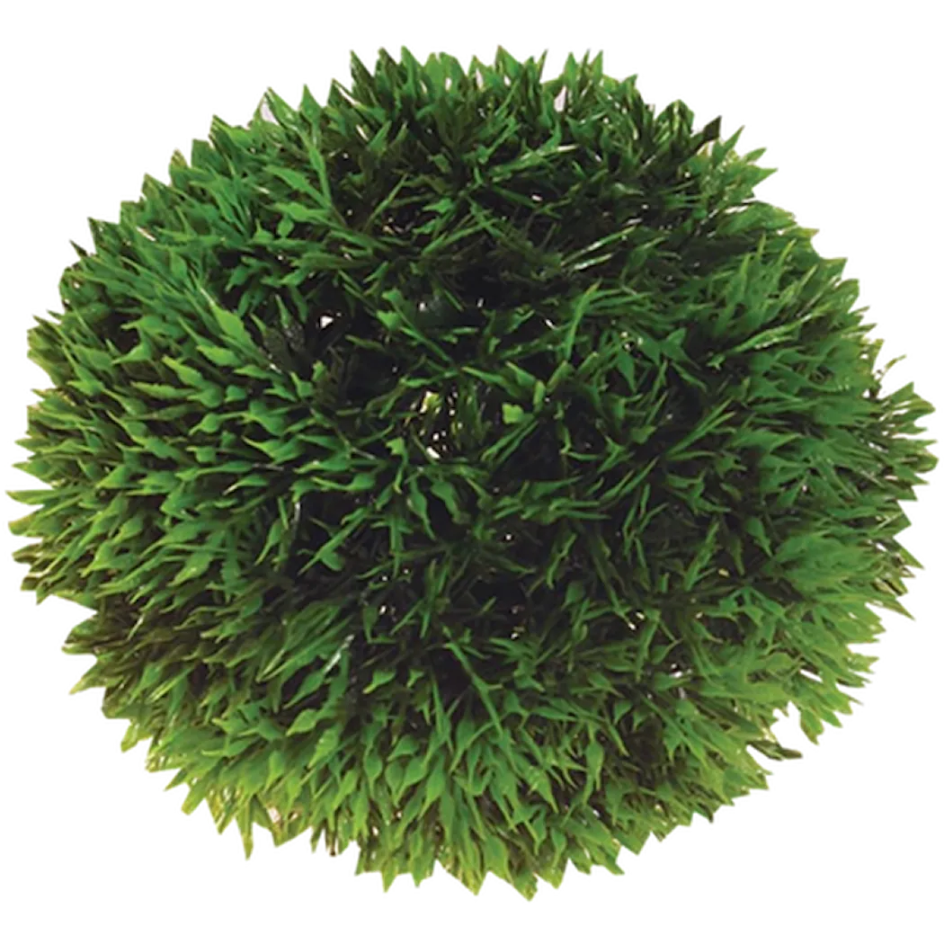 Hobby Plant Ball Green 9 cm
