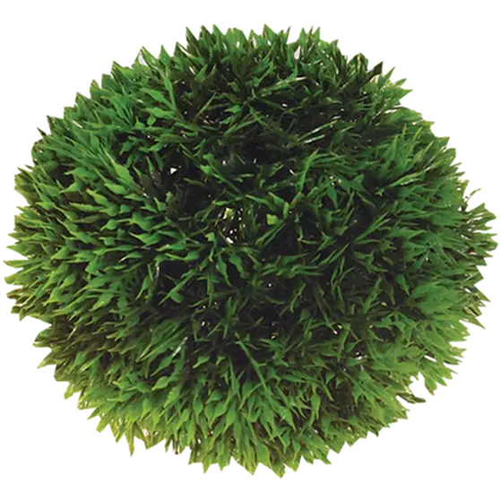 Plant Ball Green 9 cm