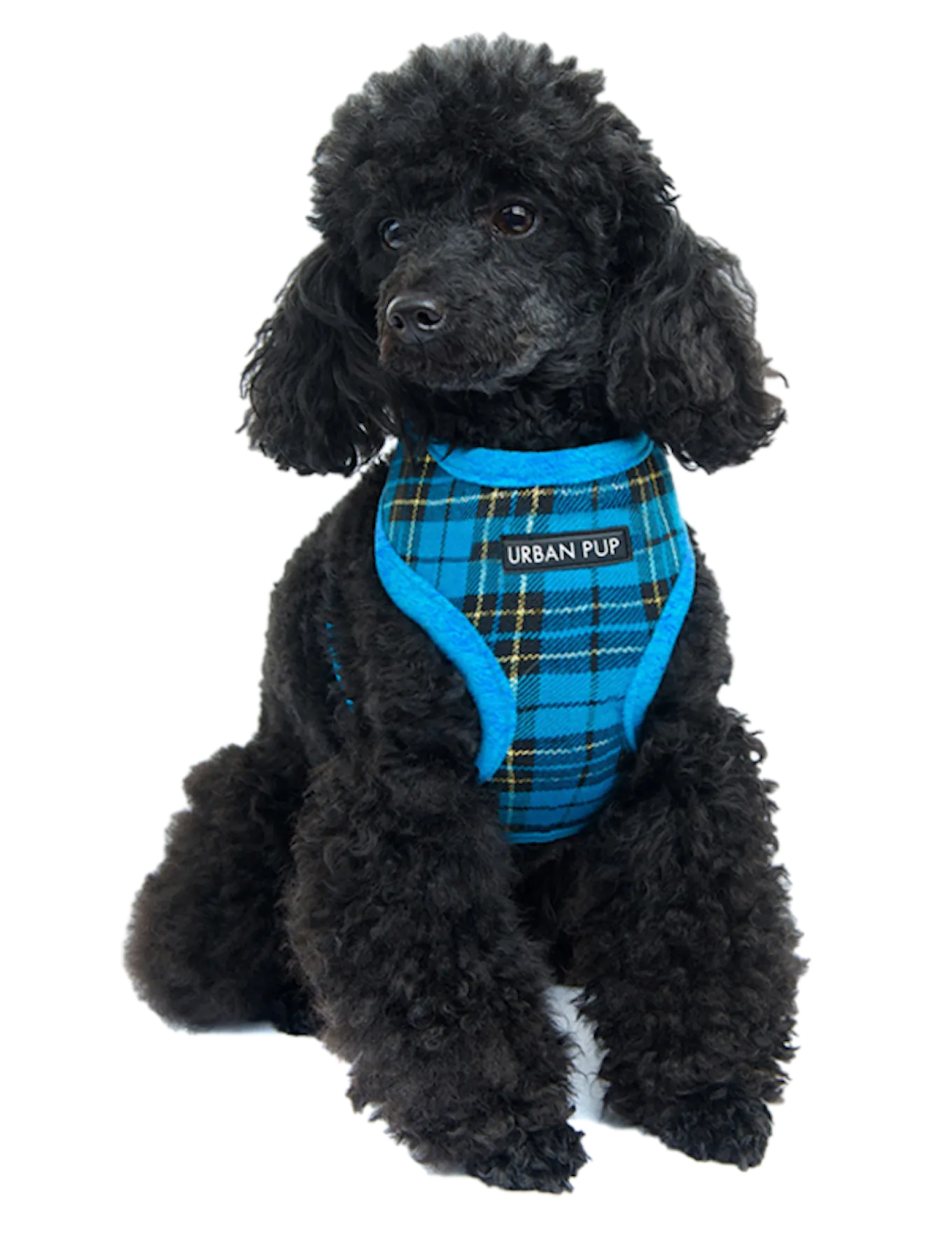 Urban pup faux fur blue harness dog.png