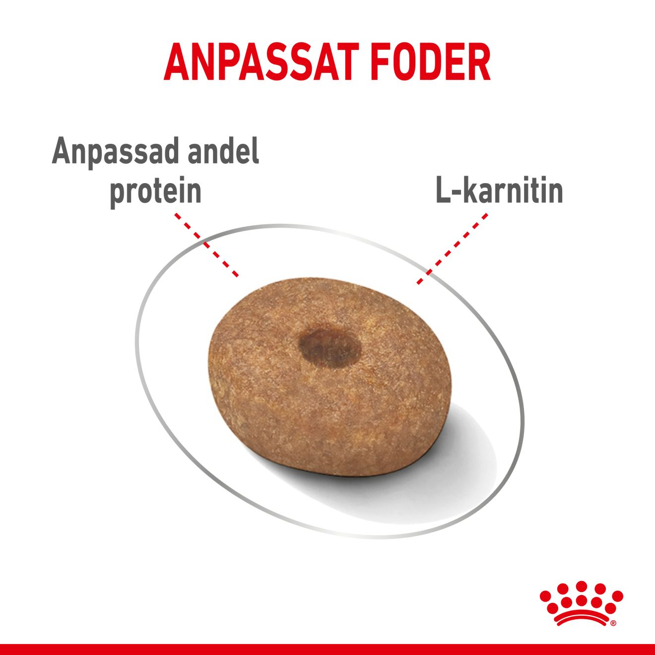 Light Weight Care Mini Adult