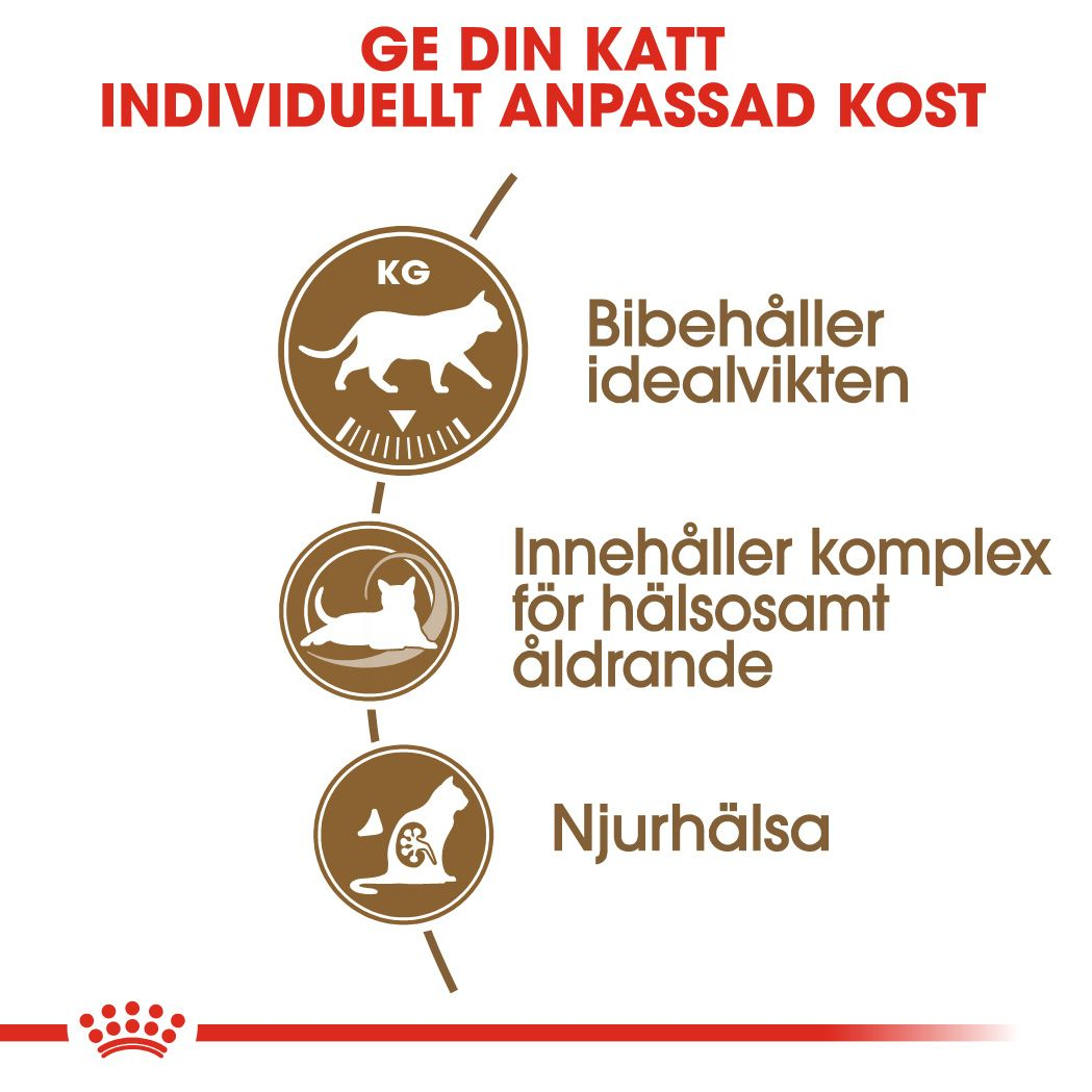 Ageing Sterilised 12+