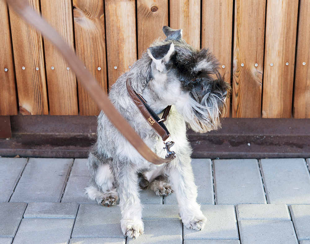 GE 210520, GE 210525, GE 210527, GE 210530, GE2105